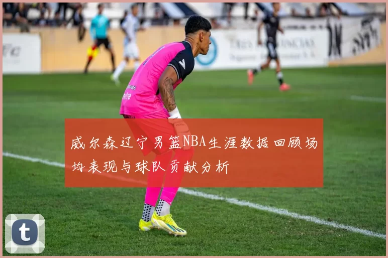 威尔森辽宁男篮NBA生涯数据回顾场均表现与球队贡献分析